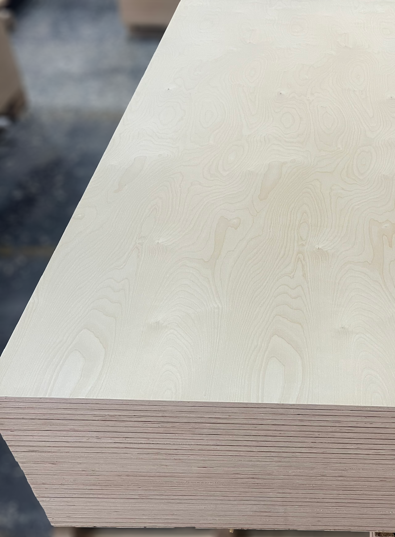 Hardwood core birch face furniture plywood panel showing white birch veneer surface